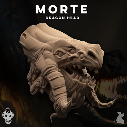Morte, dragon head